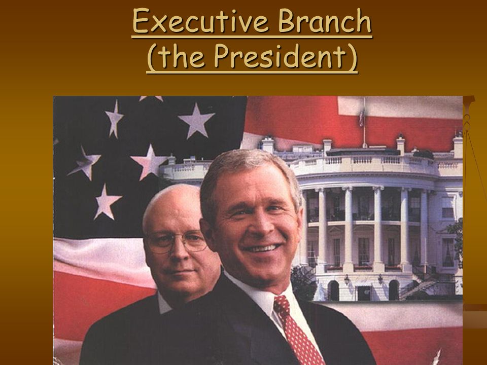 Executive Branch (the President)