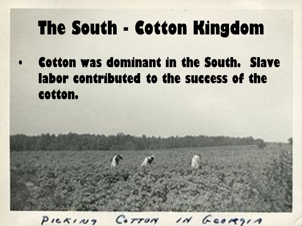 The South - Cotton Kingdom