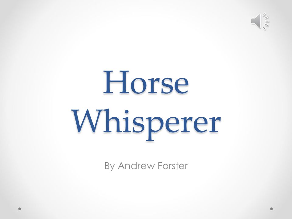 horse whisperer analysis