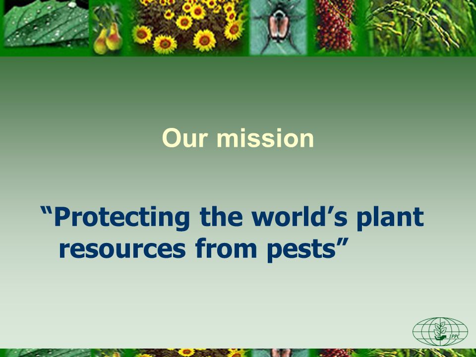Protecting the world’s plant resources from pests