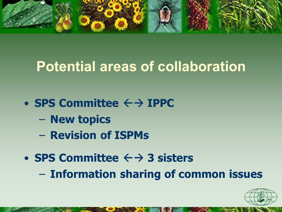 Potential areas of collaboration
