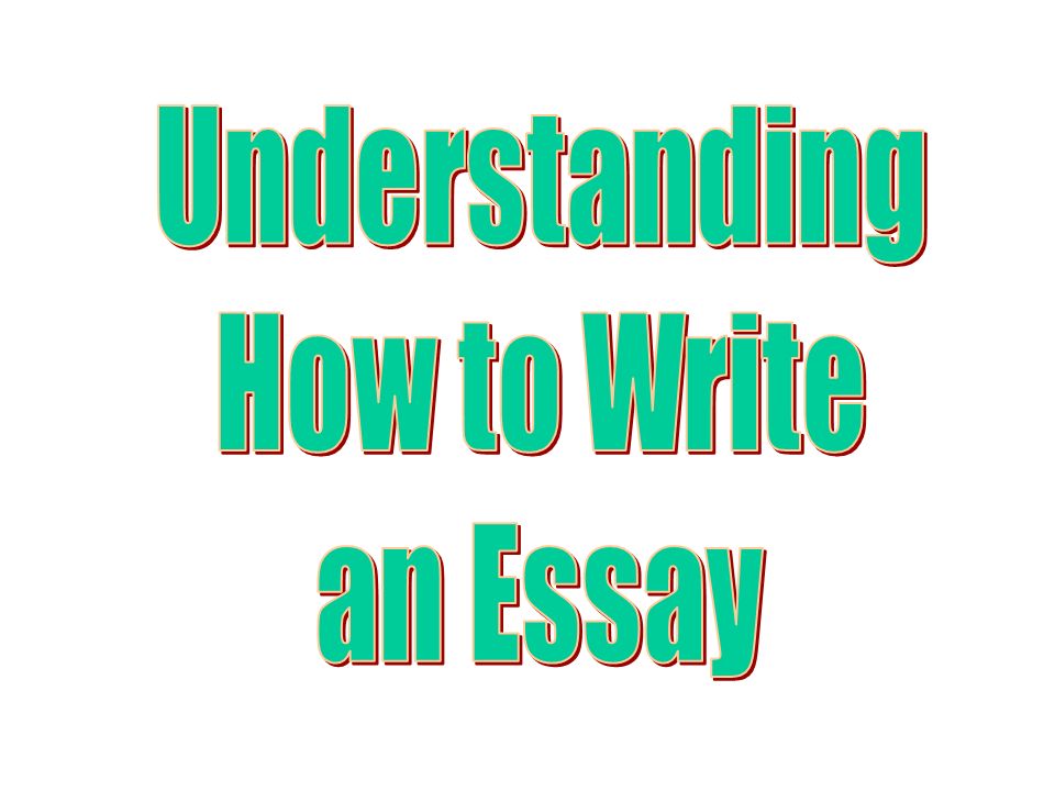 Understanding How to Write an Essay