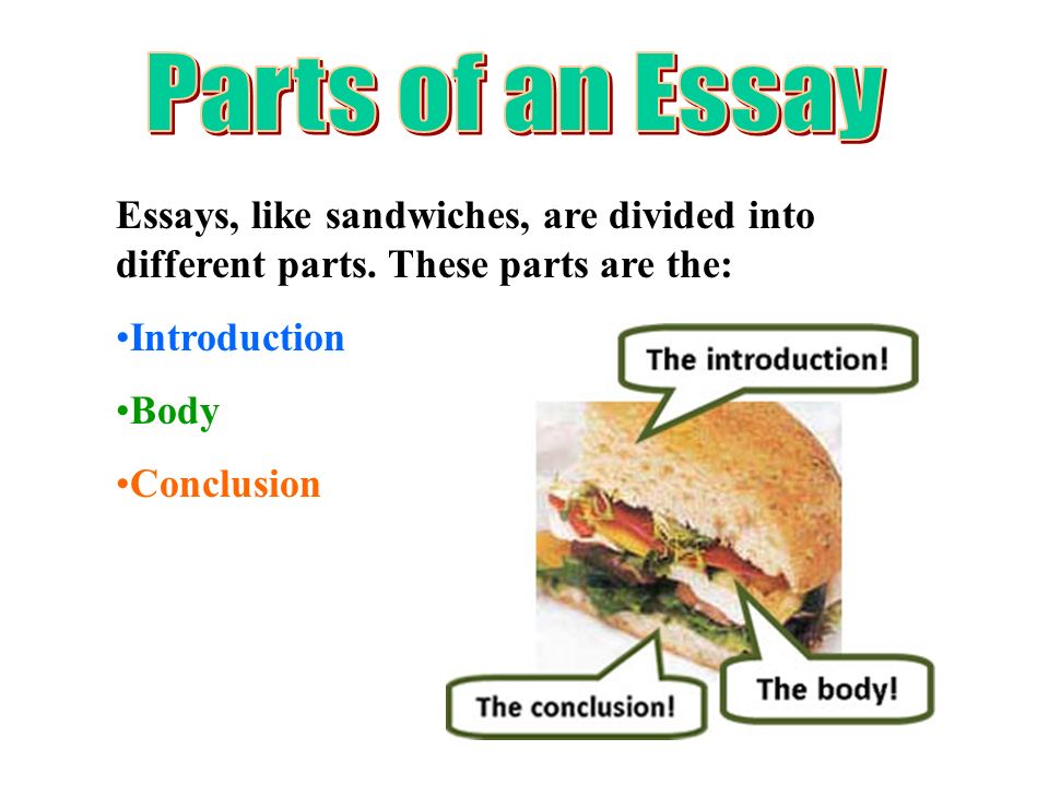 Parts of an Essay Essays, like sandwiches, are divided into different parts. These parts are the: Introduction.