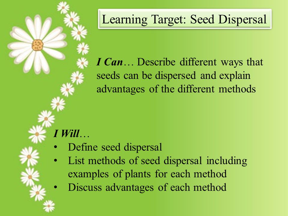 advantages of fruit and seed dispersal