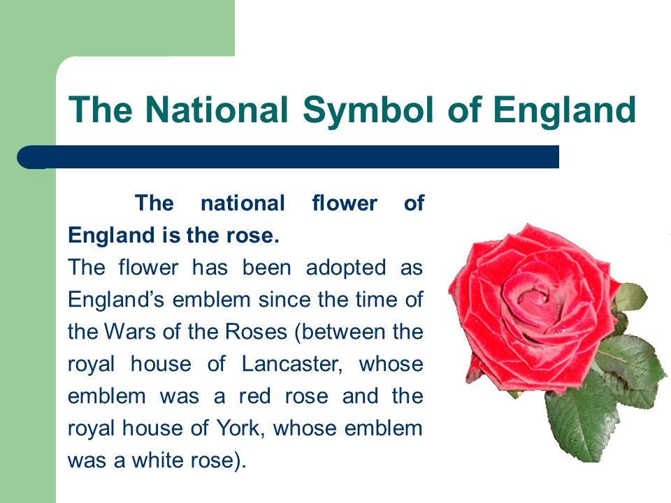 The National Symbol of England