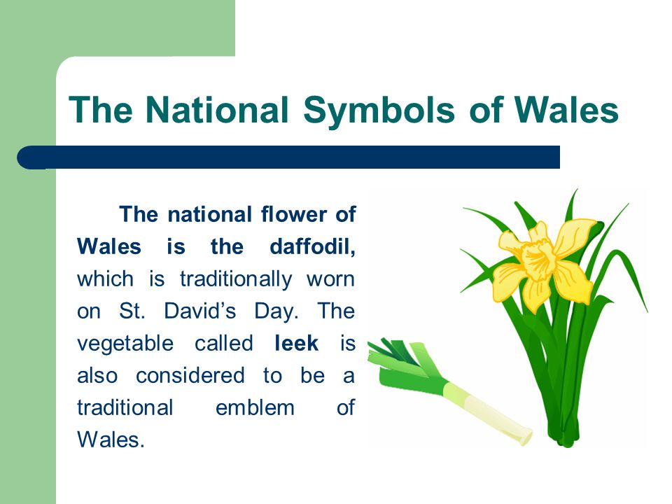 The National Symbols of Wales