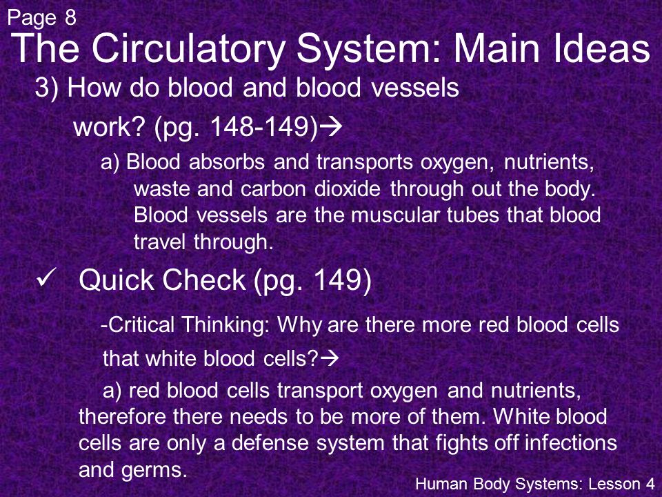 The Circulatory System: Main Ideas