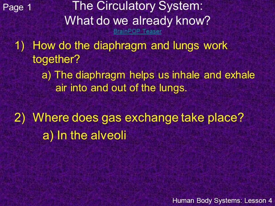 The Circulatory System: What do we already know BrainPOP Teaser