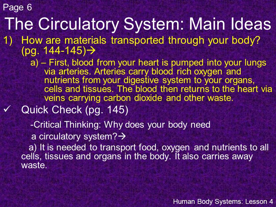 The Circulatory System: Main Ideas