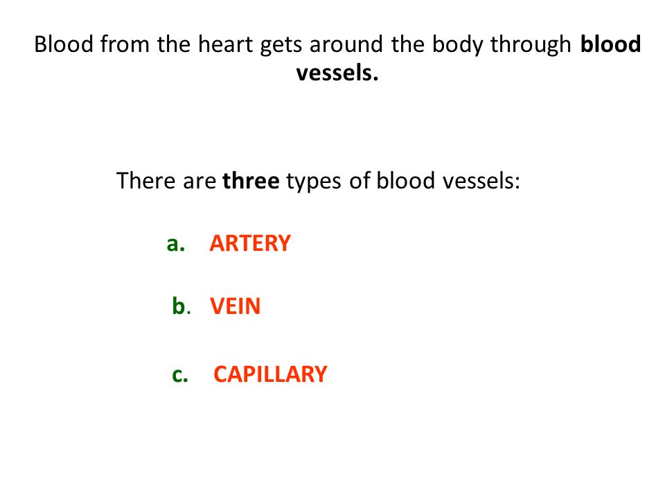 Blood from the heart gets around the body through blood vessels.