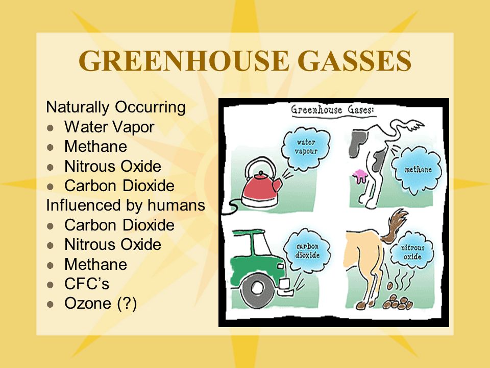 GREENHOUSE GASSES Naturally Occurring Water Vapor Methane