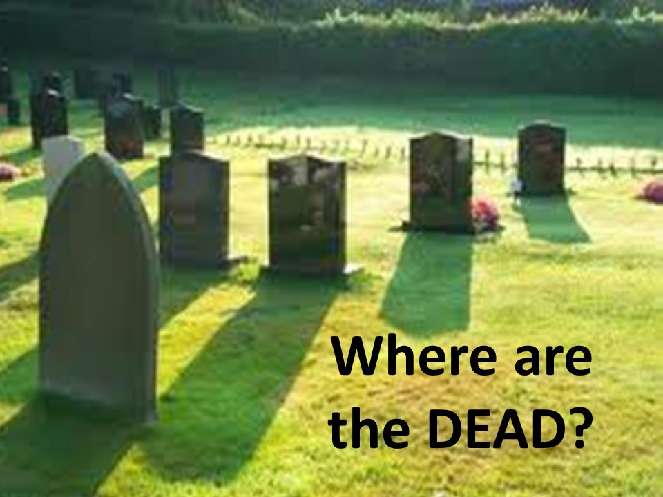 Where are the DEAD