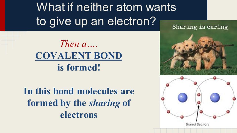 What if neither atom wants to give up an electron