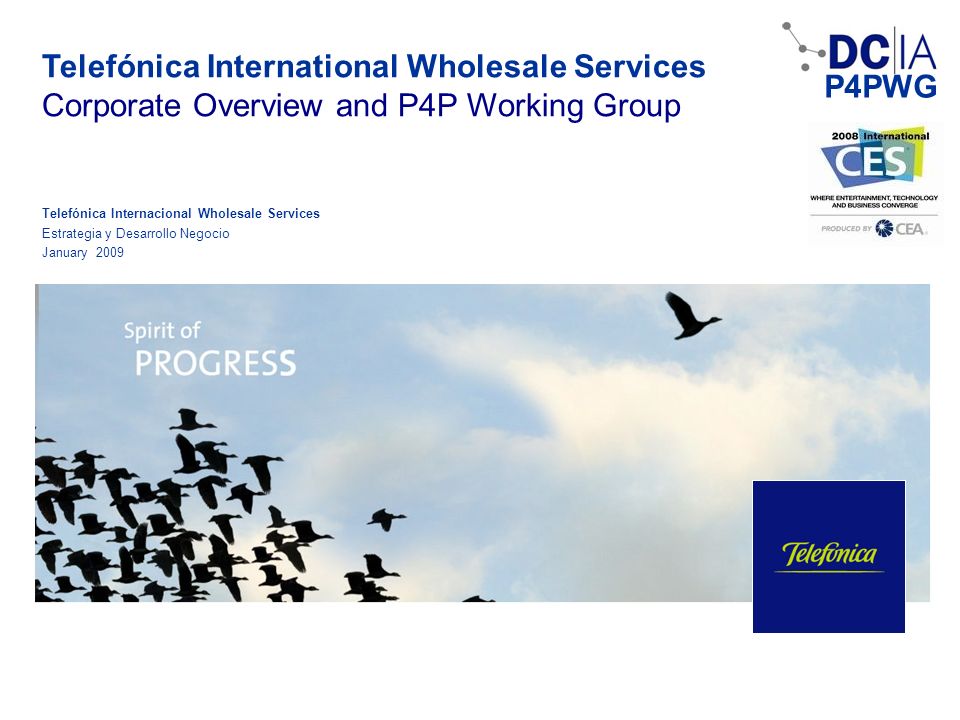 Telefónica International Wholesale Services