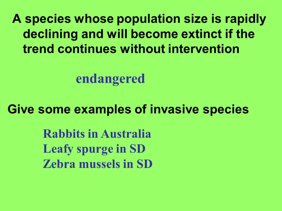 A species whose population size is rapidly declining and will become extinct if the trend continues without intervention