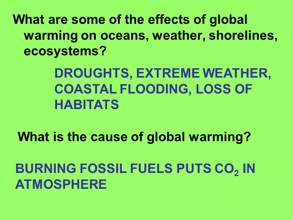 What are some of the effects of global warming on oceans, weather, shorelines, ecosystems