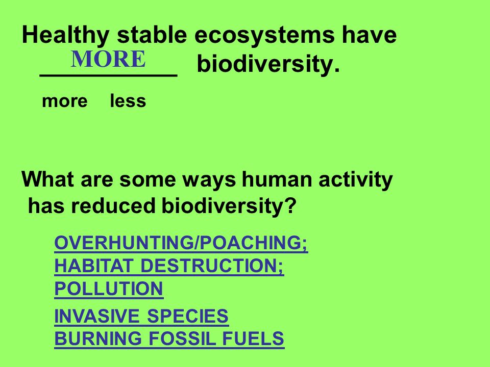 Healthy stable ecosystems have __________ biodiversity. more less MORE