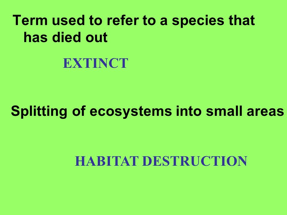 Term used to refer to a species that has died out