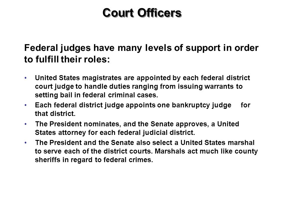 Court Officers Federal judges have many levels of support in order to fulfill their roles: