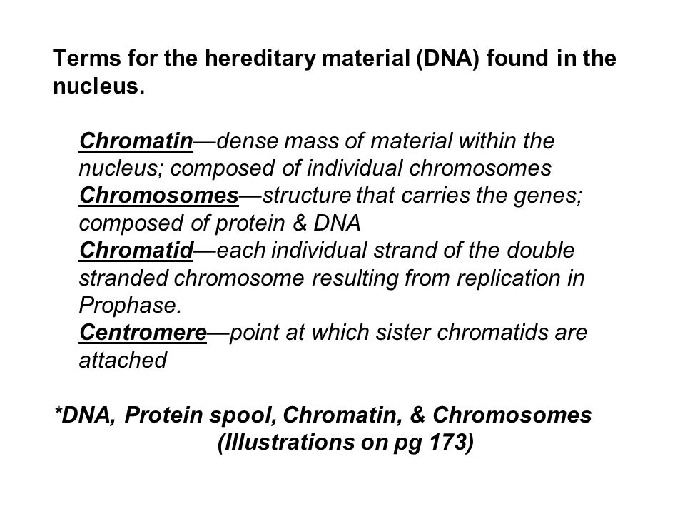 Terms for the hereditary material (DNA) found in the