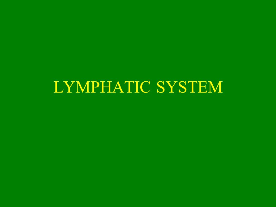 LYMPHATIC SYSTEM