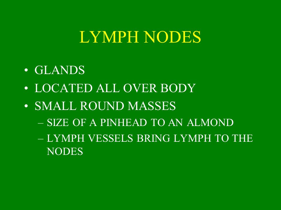 LYMPH NODES GLANDS LOCATED ALL OVER BODY SMALL ROUND MASSES