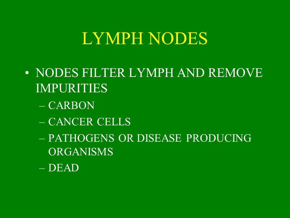 LYMPH NODES NODES FILTER LYMPH AND REMOVE IMPURITIES CARBON