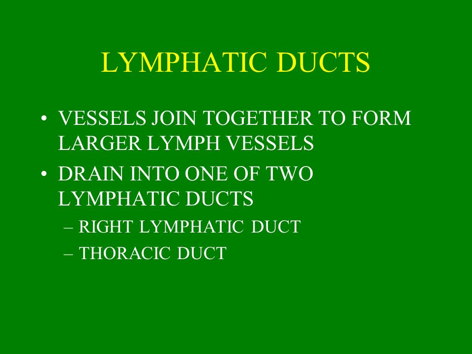 LYMPHATIC DUCTS VESSELS JOIN TOGETHER TO FORM LARGER LYMPH VESSELS
