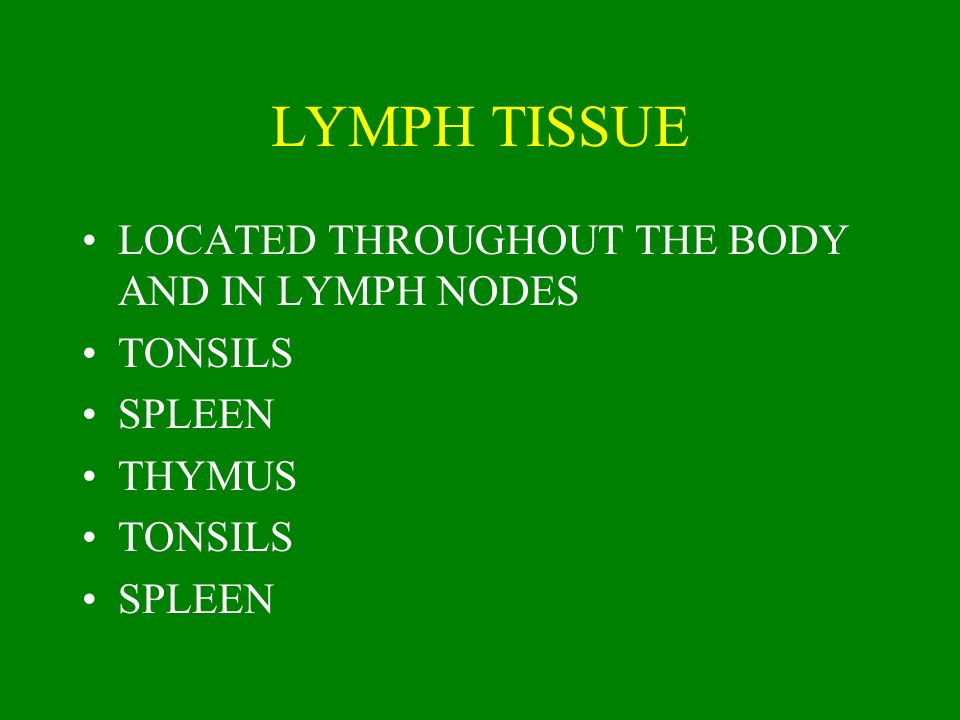 LYMPH TISSUE LOCATED THROUGHOUT THE BODY AND IN LYMPH NODES TONSILS