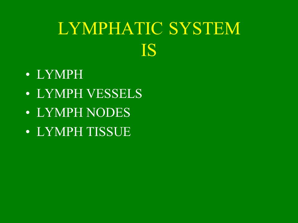 LYMPHATIC SYSTEM IS LYMPH LYMPH VESSELS LYMPH NODES LYMPH TISSUE