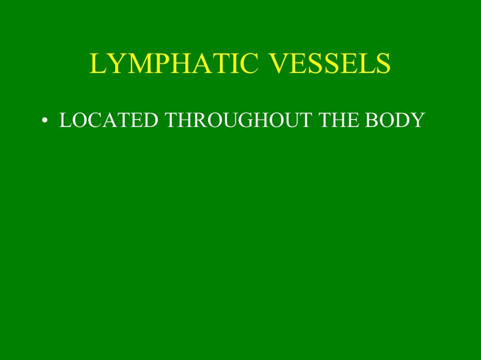 LYMPHATIC VESSELS LOCATED THROUGHOUT THE BODY