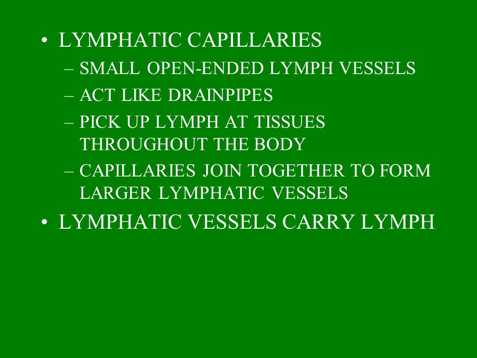 LYMPHATIC CAPILLARIES
