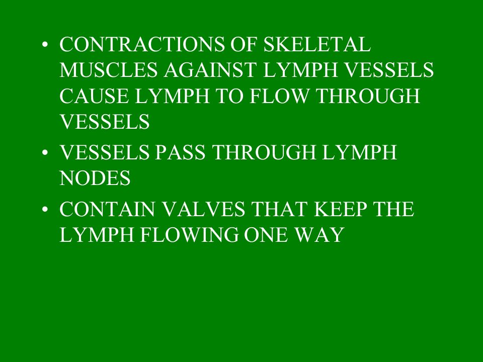 CONTRACTIONS OF SKELETAL MUSCLES AGAINST LYMPH VESSELS CAUSE LYMPH TO FLOW THROUGH VESSELS