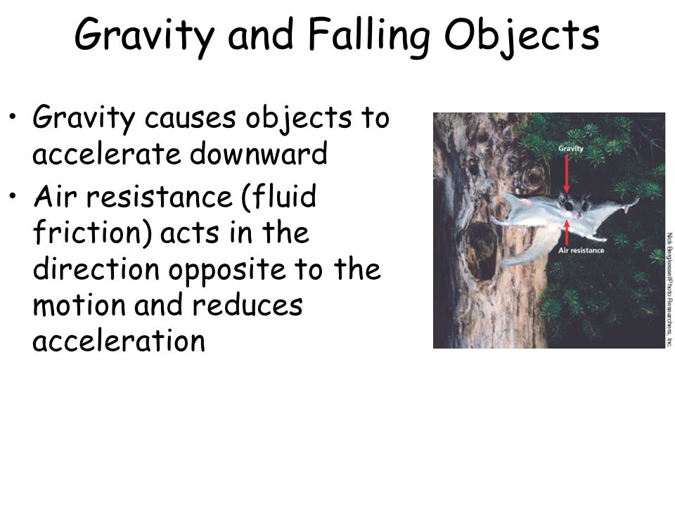 Gravity and Falling Objects