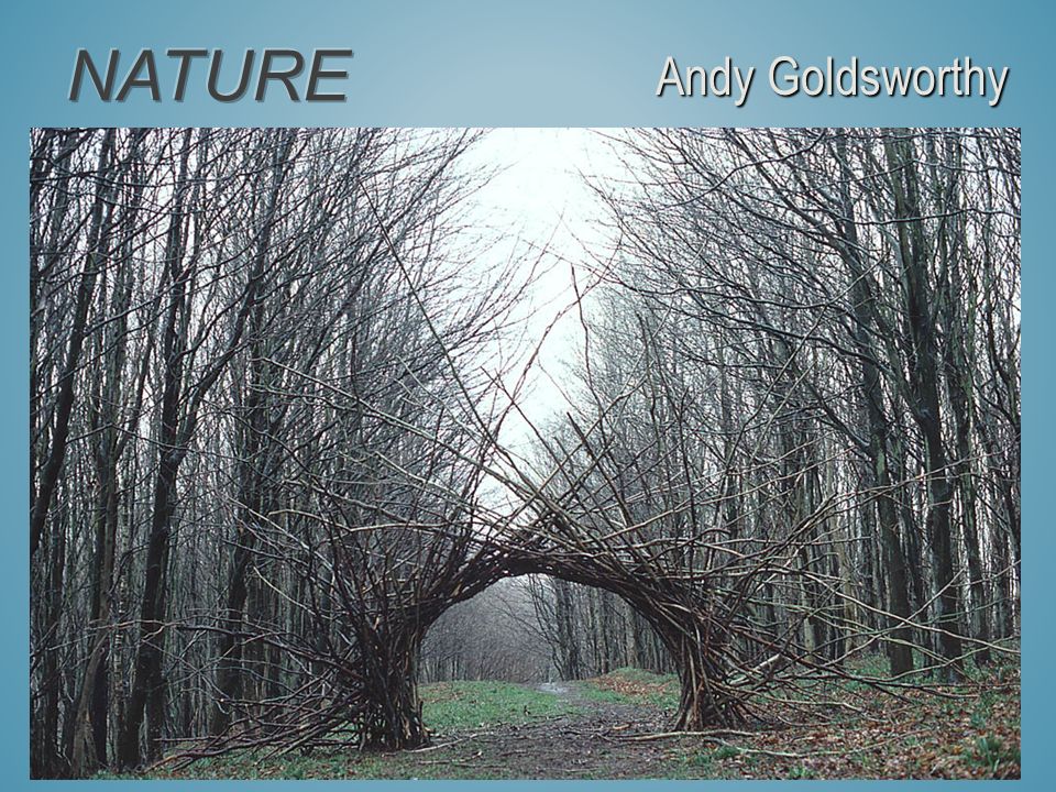 NATURE Andy Goldsworthy