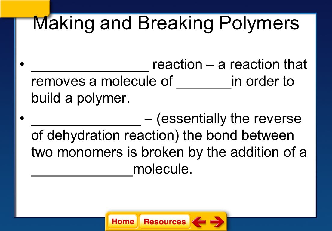 Making and Breaking Polymers
