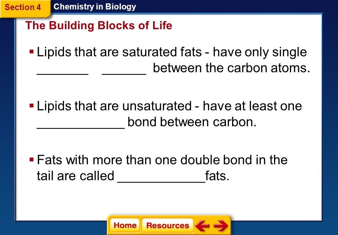 Section 4 Chemistry in Biology. The Building Blocks of Life.