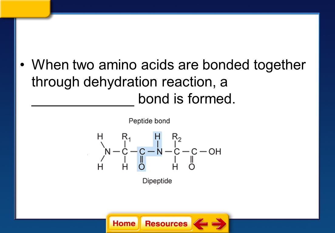 When two amino acids are bonded together through dehydration reaction, a _____________ bond is formed.