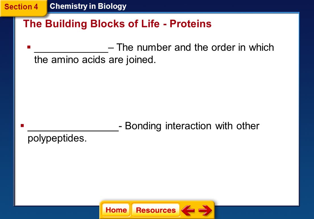 The Building Blocks of Life - Proteins