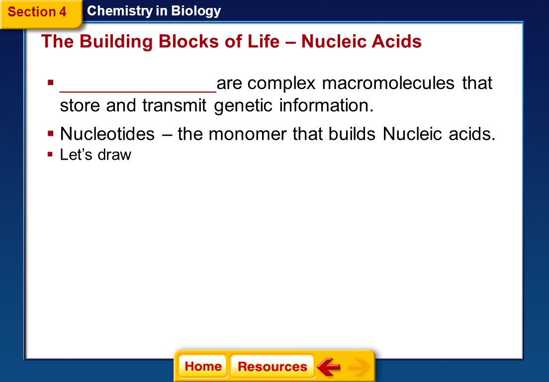 The Building Blocks of Life – Nucleic Acids