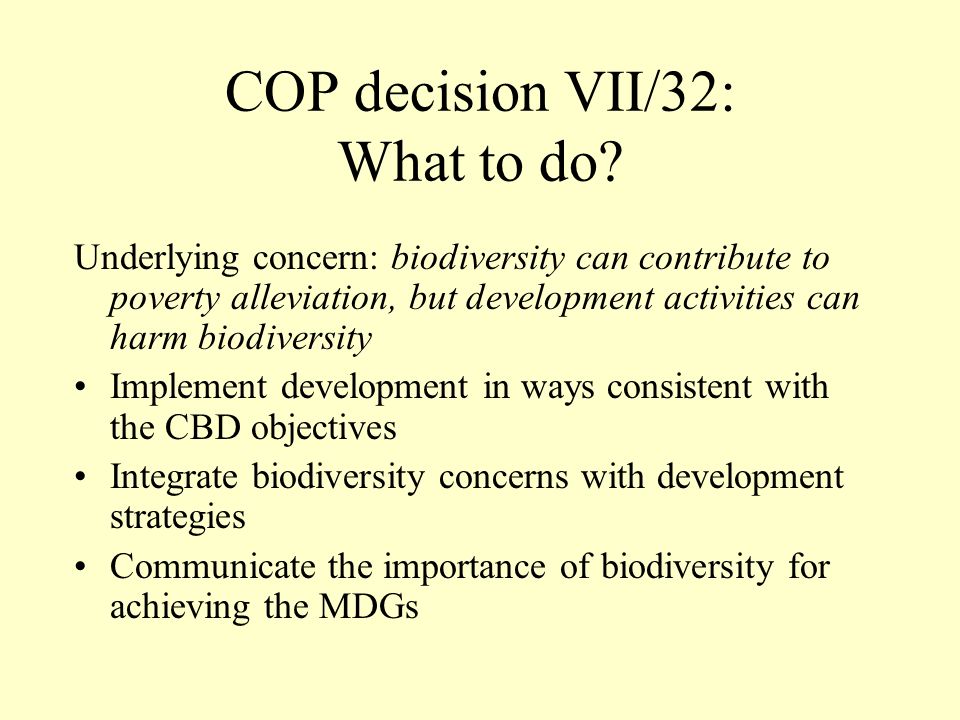 COP decision VII/32: What to do