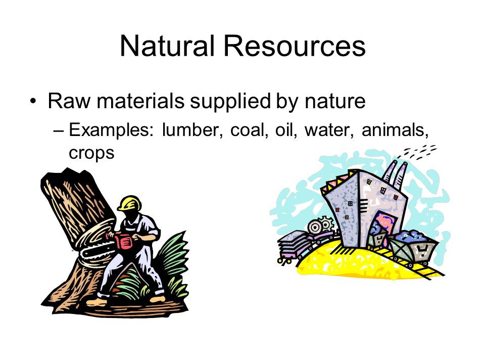 Natural Resources Raw materials supplied by nature