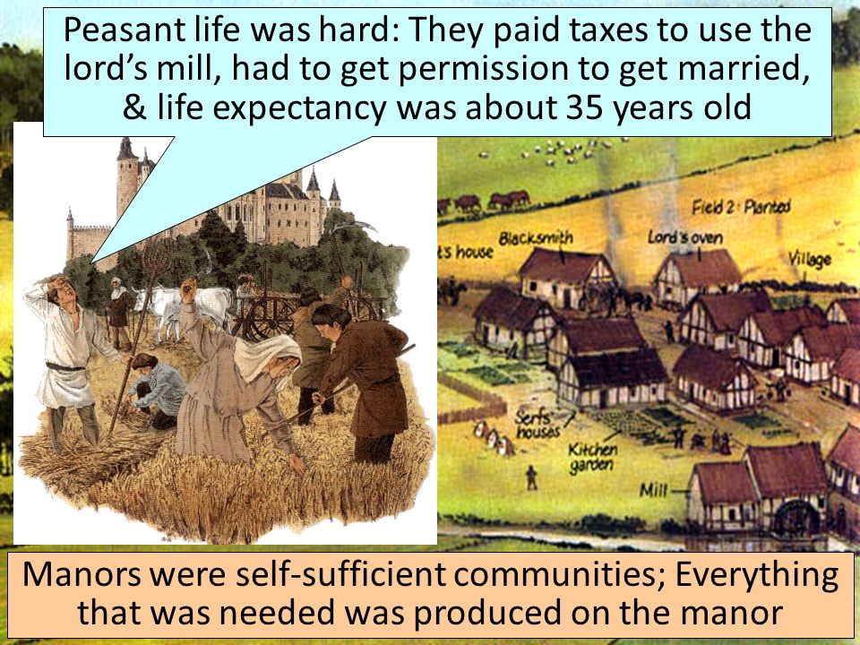 Peasant life was hard: They paid taxes to use the lord’s mill, had to get permission to get married, & life expectancy was about 35 years old