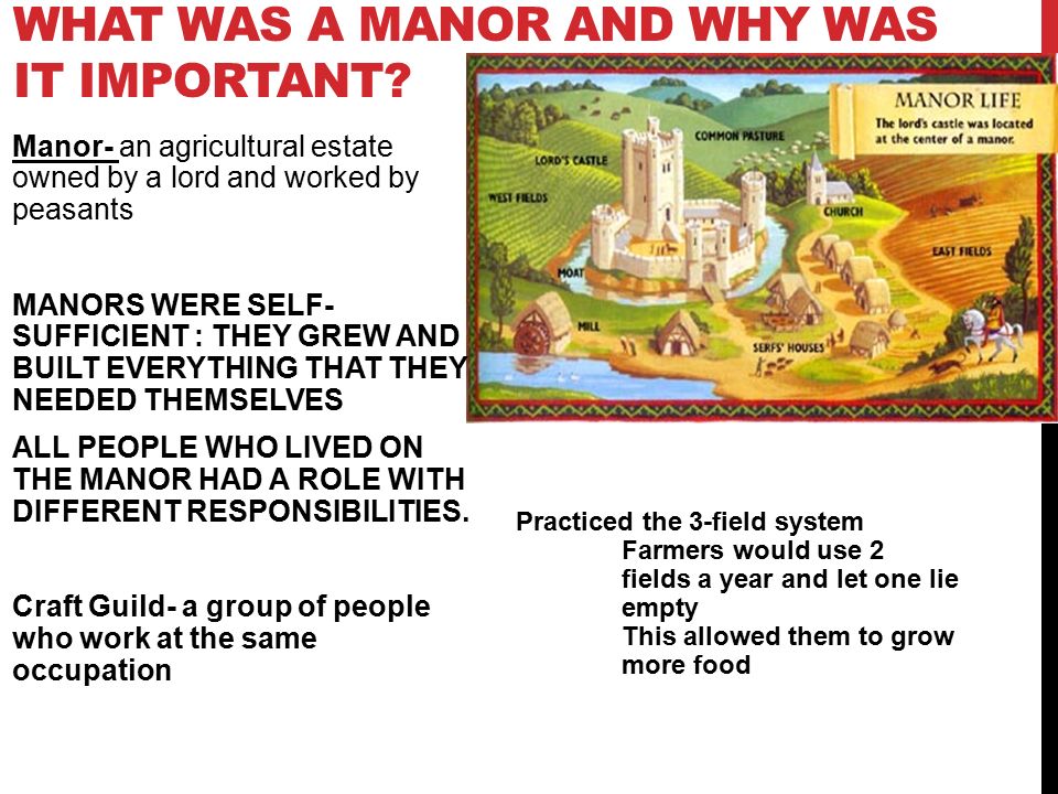 WHAT WAS A MANOR AND WHY WAS IT IMPORTANT