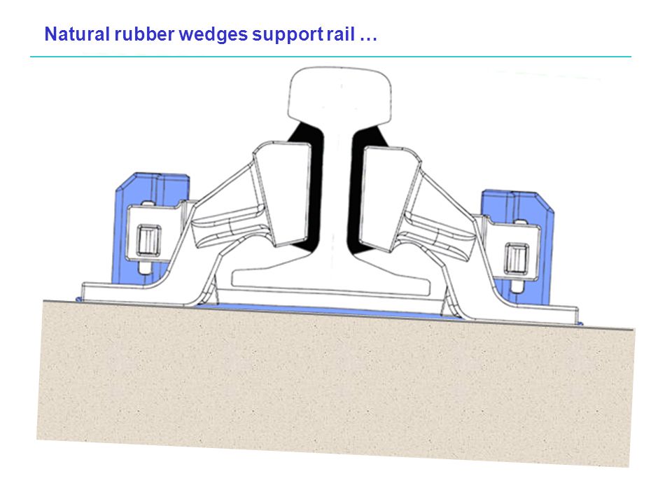 Natural rubber wedges support rail …