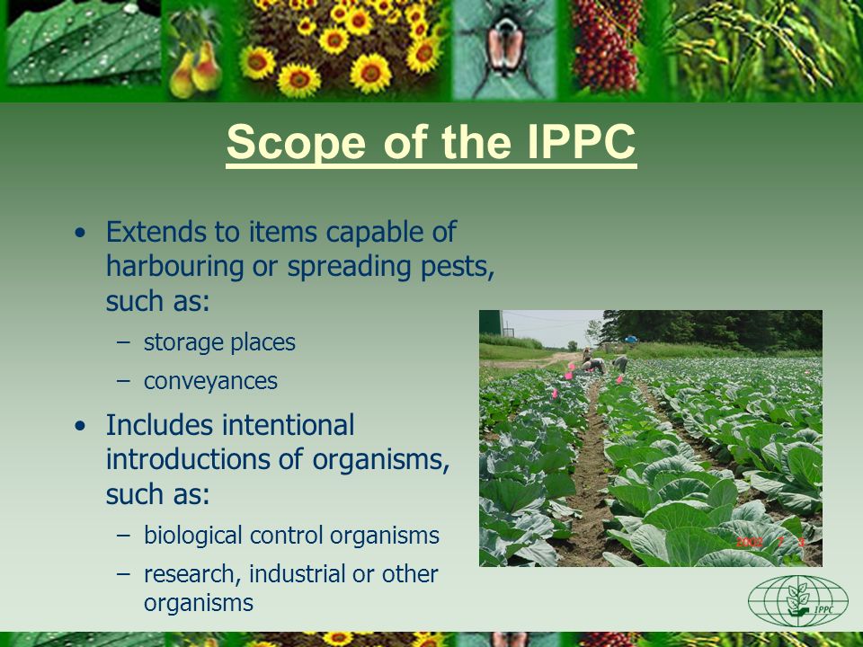 Day One 3/28/2017. Scope of the IPPC. Extends to items capable of harbouring or spreading pests, such as: