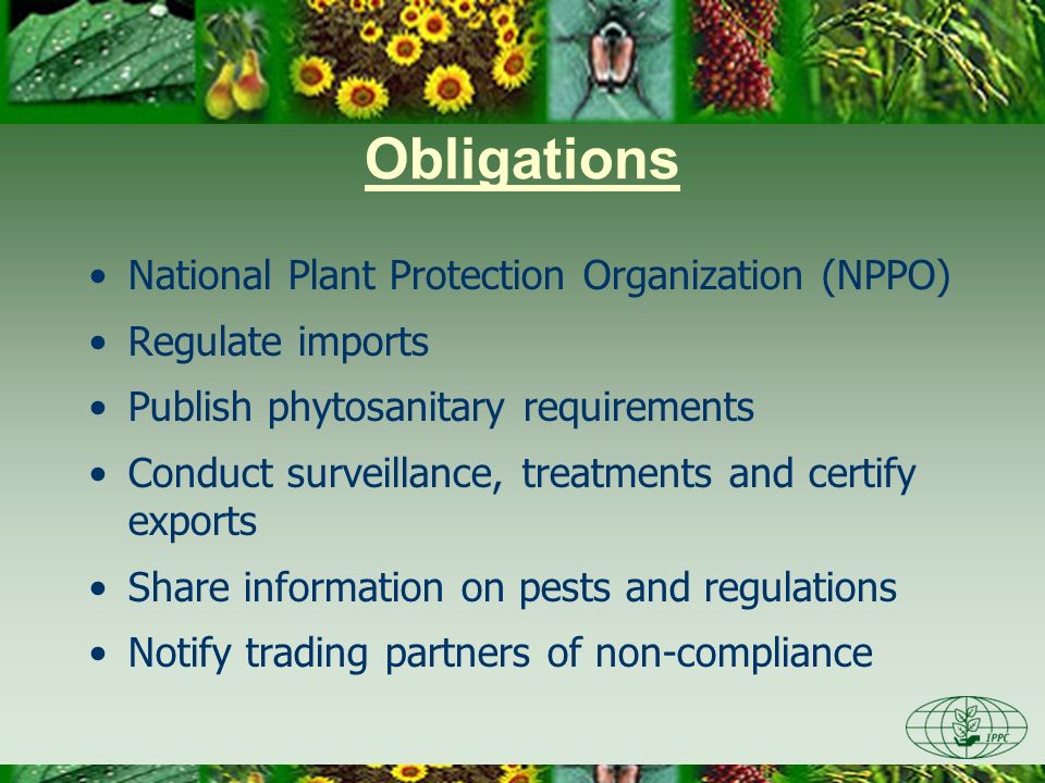 Obligations National Plant Protection Organization (NPPO)