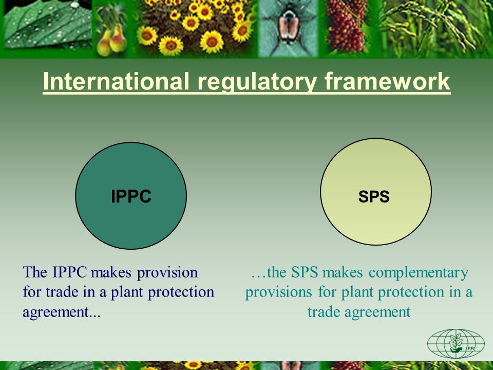 International regulatory framework