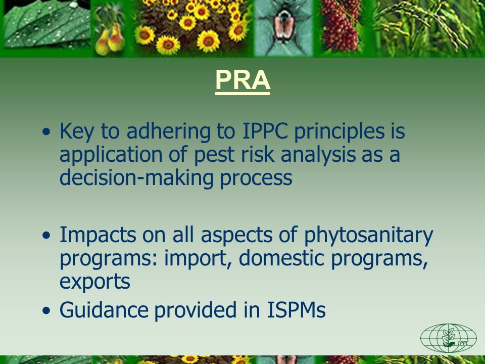 Day One 3/28/2017. PRA. Key to adhering to IPPC principles is application of pest risk analysis as a decision-making process.