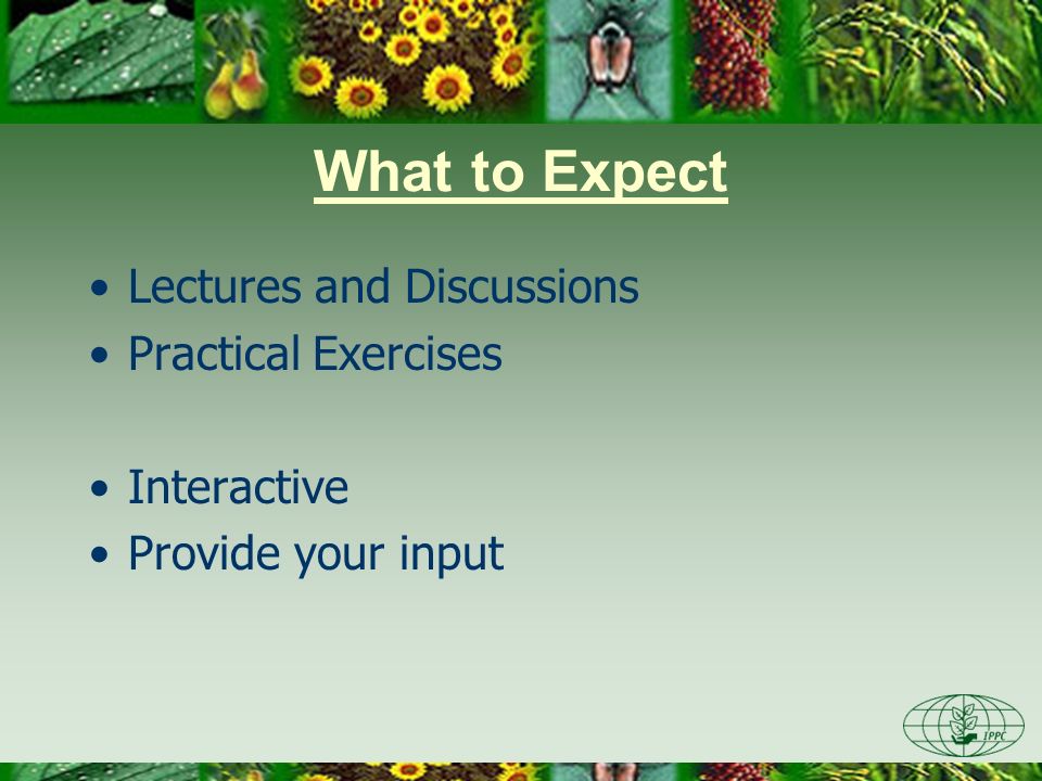What to Expect Lectures and Discussions Practical Exercises
